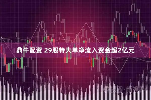 鼎牛配资 29股特大单净流入资金超2亿元