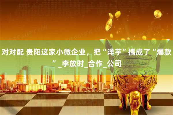 对对配 贵阳这家小微企业，把“洋芋”搞成了“爆款”_李放时_合作_公司