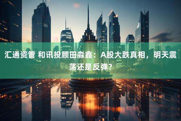 汇通资管 和讯投顾田淼鑫：A股大跌真相，明天震荡还是反弹？